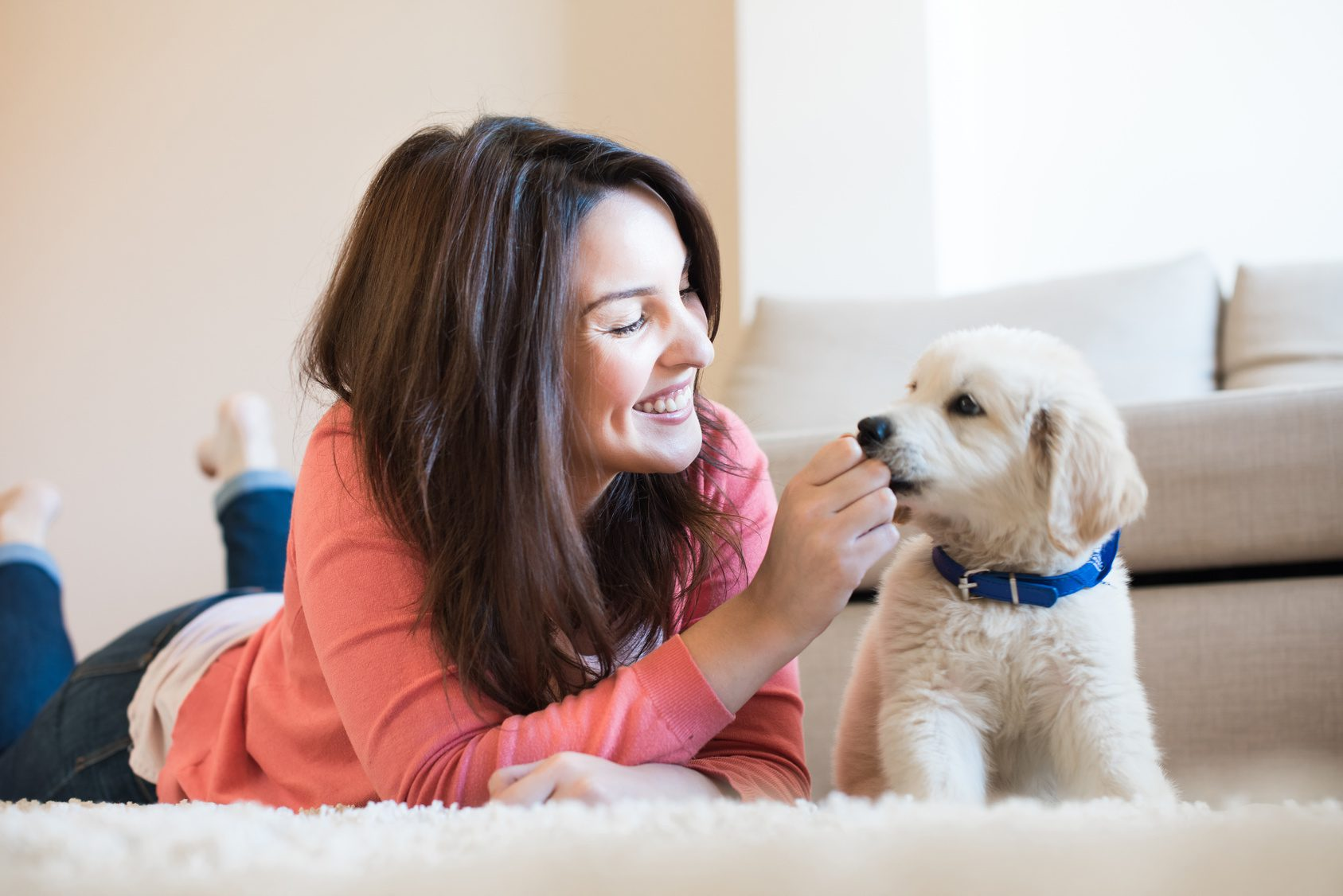 Discover the Ultimate Pet Shopping Experience at Spoiled Pets Haven